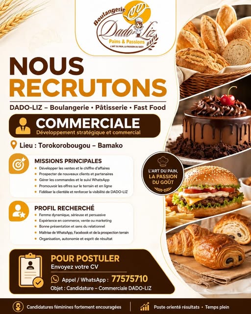 Offre d'emploi : Commercial:Développement statégique et commercial chez Dado-Liz